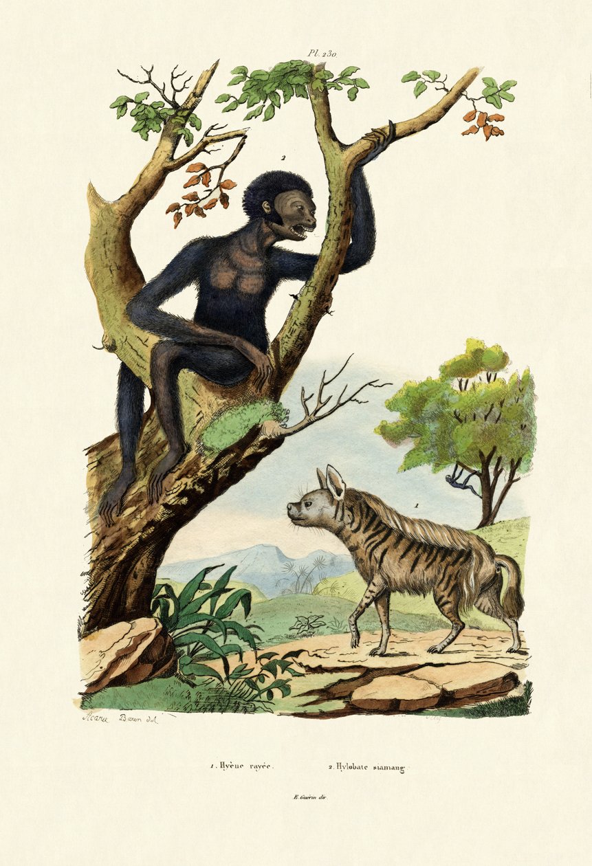 荒野、1833-39 作： フランス語学校