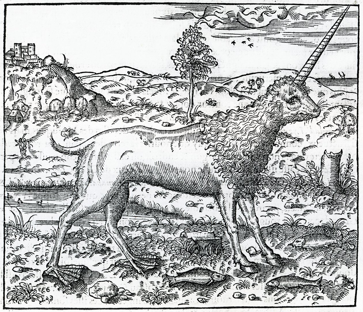 キャンチャーチユニコーン、アンドレテヴェによる「ユニバーサルコスモグラフィー」のイラスト、1575年 作： フランス語学校