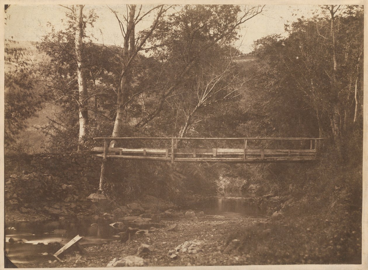 樹木と橋のある風景,c.1850年（写真） 作： フランスの写真家