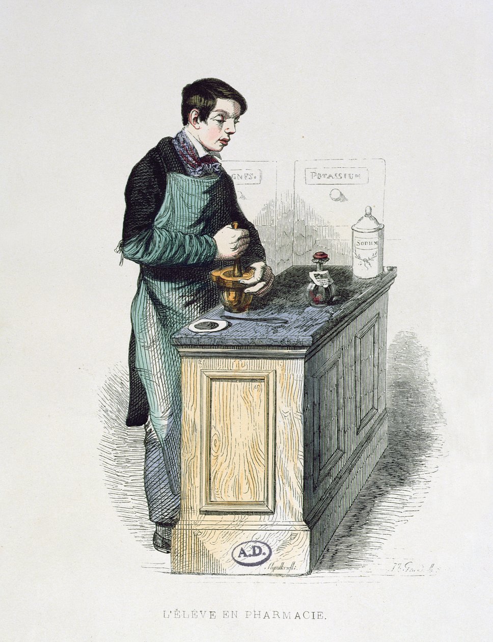 薬を準備している薬学の学生、レフランセpeints par-themselvesのイラスト、エディションL.カーマー、1841年（カラー彫刻） 作： フランス語学校