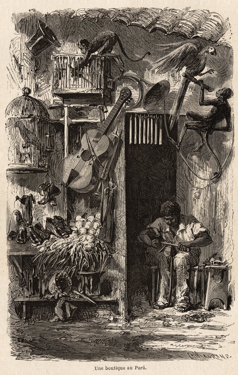 1858-1859年にビアード氏がブラジルを旅行した際に描かれたパラの店。1861年の "Le tour du monde "に掲載された版画。セルバのコレクション。 作： フランス語学校