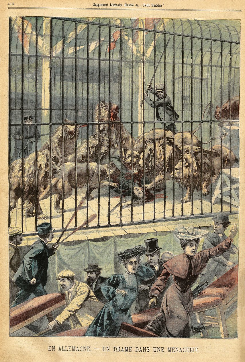 ドイツ・デッサウの動物園で、飼い主が自分のライオンに食われている。1903年12月27日、「Le Petite Parisien」誌に掲載された版画。 作： フランス語学校