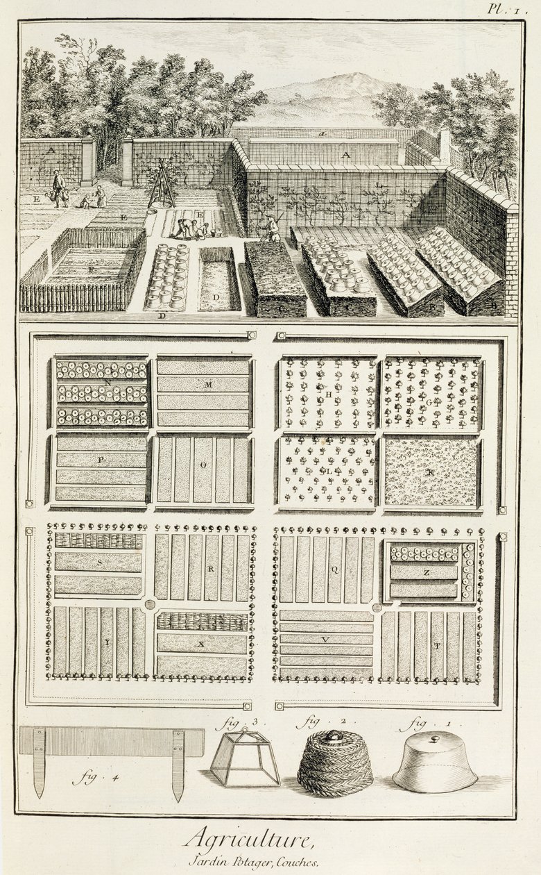 デニスディドロの科学、芸術、工学百科事典（1713-84）、c.1770の菜園 作： フランス語学校