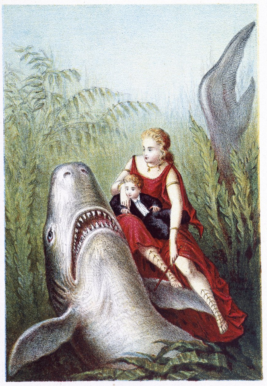 サメに乗る女性と少年 - H. de la Blanchèreの「海の底への旅」にて。Paris, ed.Jouvet et Cie, sd.1880.(ダブル02943) 作： フランス語学校