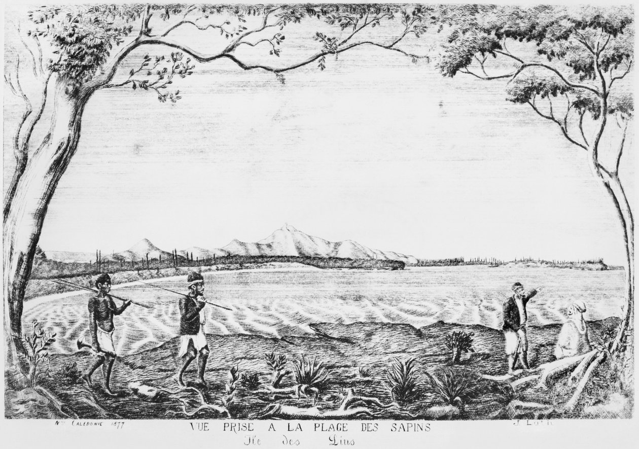 パインズ島のアルバム、パインズビーチからの眺め、1877 作： フランス語学校