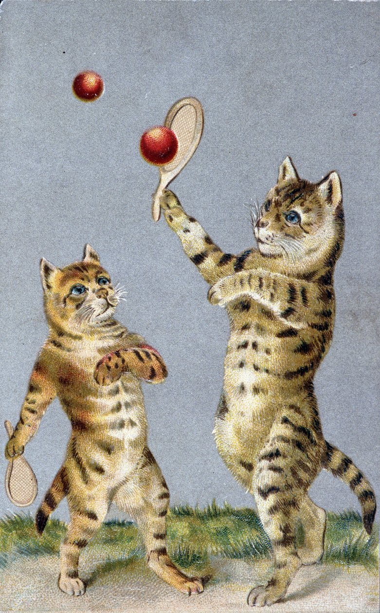 テニスをする猫たち - ポストカード 20世紀初頭 作： フランス語学校