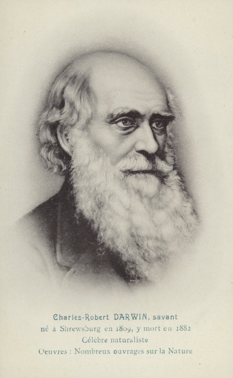 チャールズ・ダーウィン（1809-1882）イギリスの博物学者（リトグラフ） 作： フランス語学校