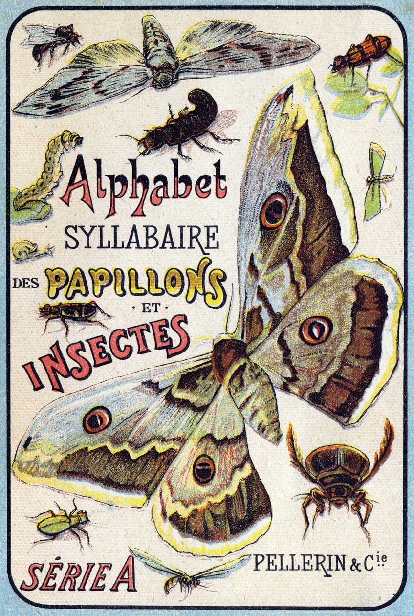 Syllabary alphabet of butterflies and insects"(蝶と昆虫の五十音順アルファベット)の表紙。19世紀末、エピナルの印刷出版社、Serie A. Pellerin et Cie。クロモリトグラフ。8ページの小さな広告アルバムで、五十音図とイメージ図に説明文が添えられている。D 作： フランス語学校