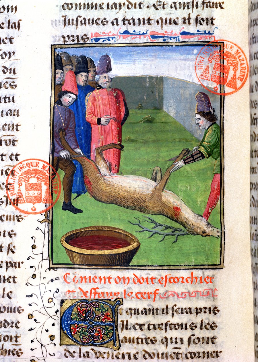 Gaston Phebus de Foix（1331-91）によるLivre de la Chasseからの死んだクワガタの足の切断 作： フランス語学校