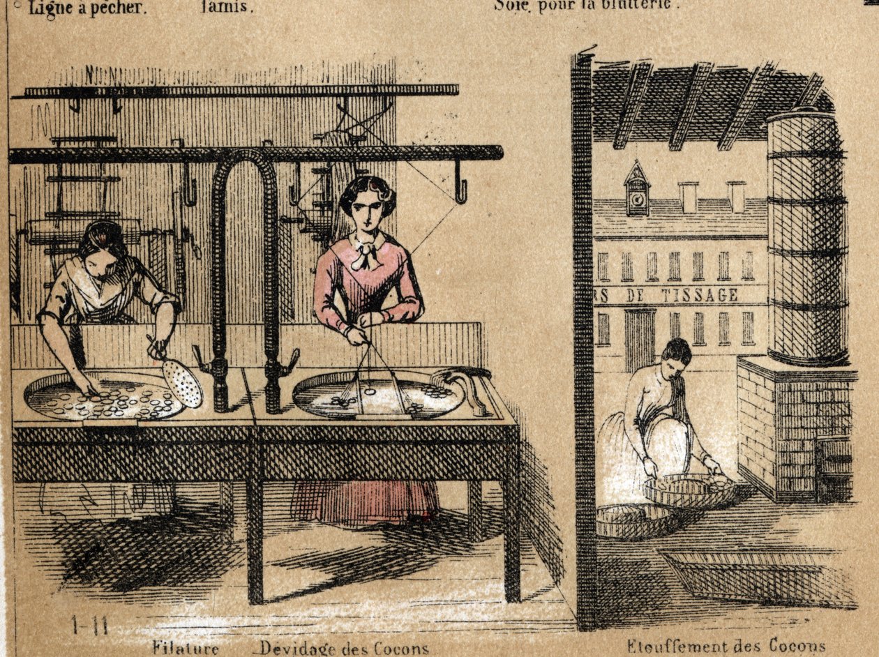 作物と絹製品の説明：絹を紡ぐ労働者、繭を取り除いたり潰したりする労働者。ジュール・デルブリュックによる「教訓的娯楽」の悲観的な絵画の中の「ラ・ソイ」の図、1860年のエングレーヴィング。個人蔵。 作： フランス語学校