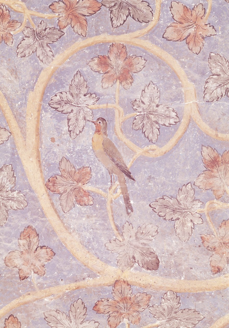 教皇の寝室の壁の装飾からの鳥の詳細、c.1334-62（154784も参照） 作： フランス語学校