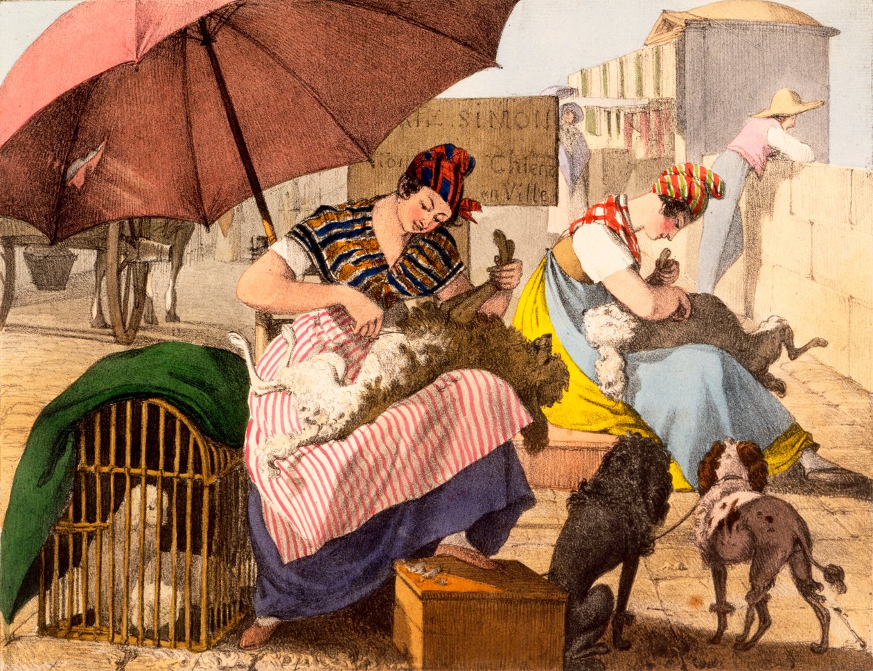 犬のグルーマー、1820 作： フランス語学校