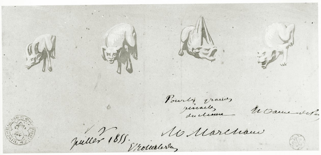 ノートルダムのガーゴイルの復元のための絵、1855 作： フランス語学校