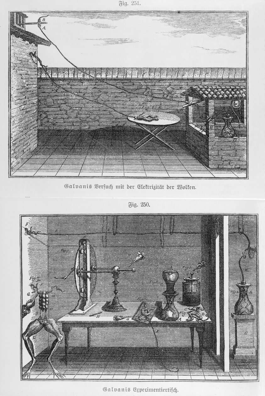 18世紀後半のルイガルヴァーニ（1737-98）によるカエルの実験 作： フランス語学校