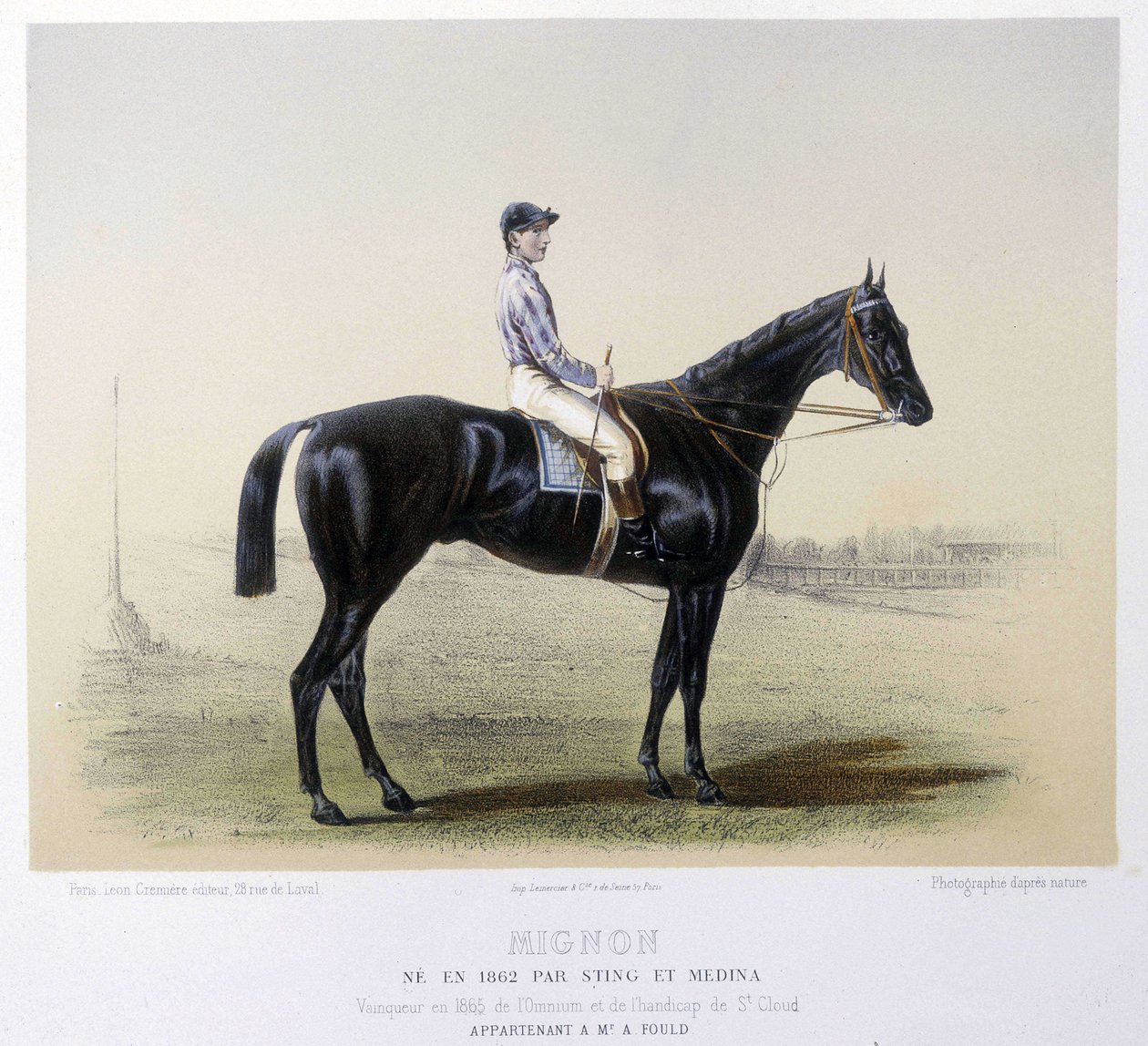 競馬の名馬-「ケンタウルス」1866年掲載 作： フランス語学校