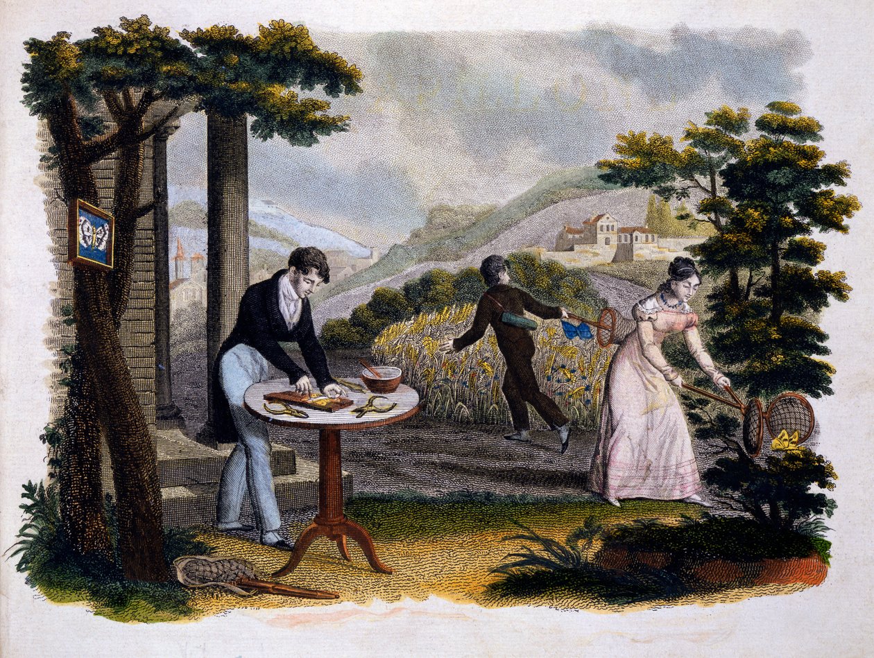 Les Papillonsの前絵...ユージーンバランド（1796-c.1850）、P。ブランチャード発行、パリ、レセルフ、1823年（カラー彫刻） 作： フランス語学校