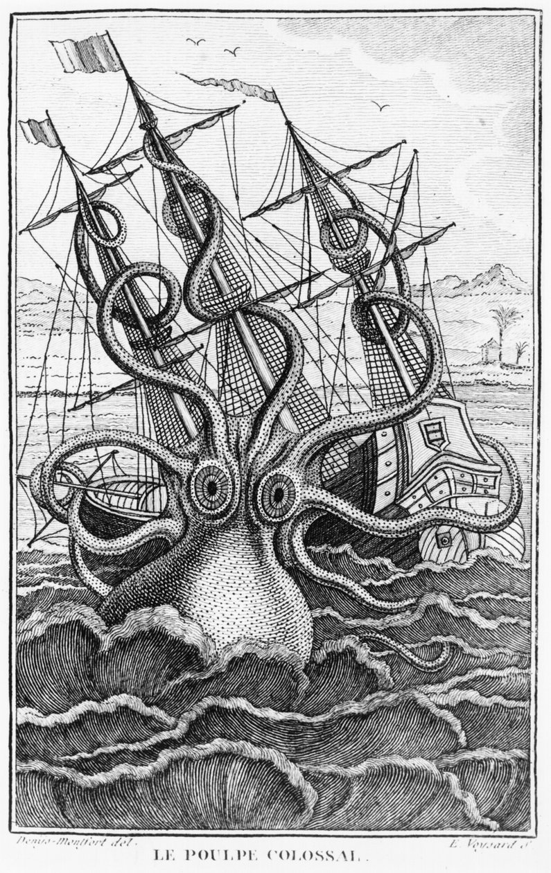 ジャイアントタコ、デニスモンフォールのLHistoire Naturelle Generale et Particuliere des Mollusquesのイラストc。 1802-03 作： フランス語学校