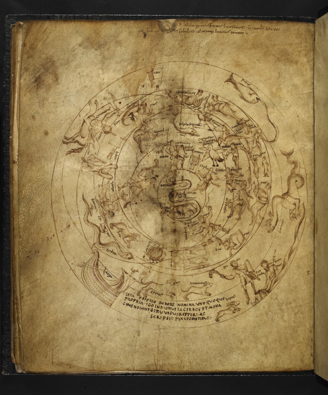 Harley 647 f.21v Marcus Tullius Cicero (vellum) による「Aratus」からの北半球と南半球の図。 作： フランス語学校