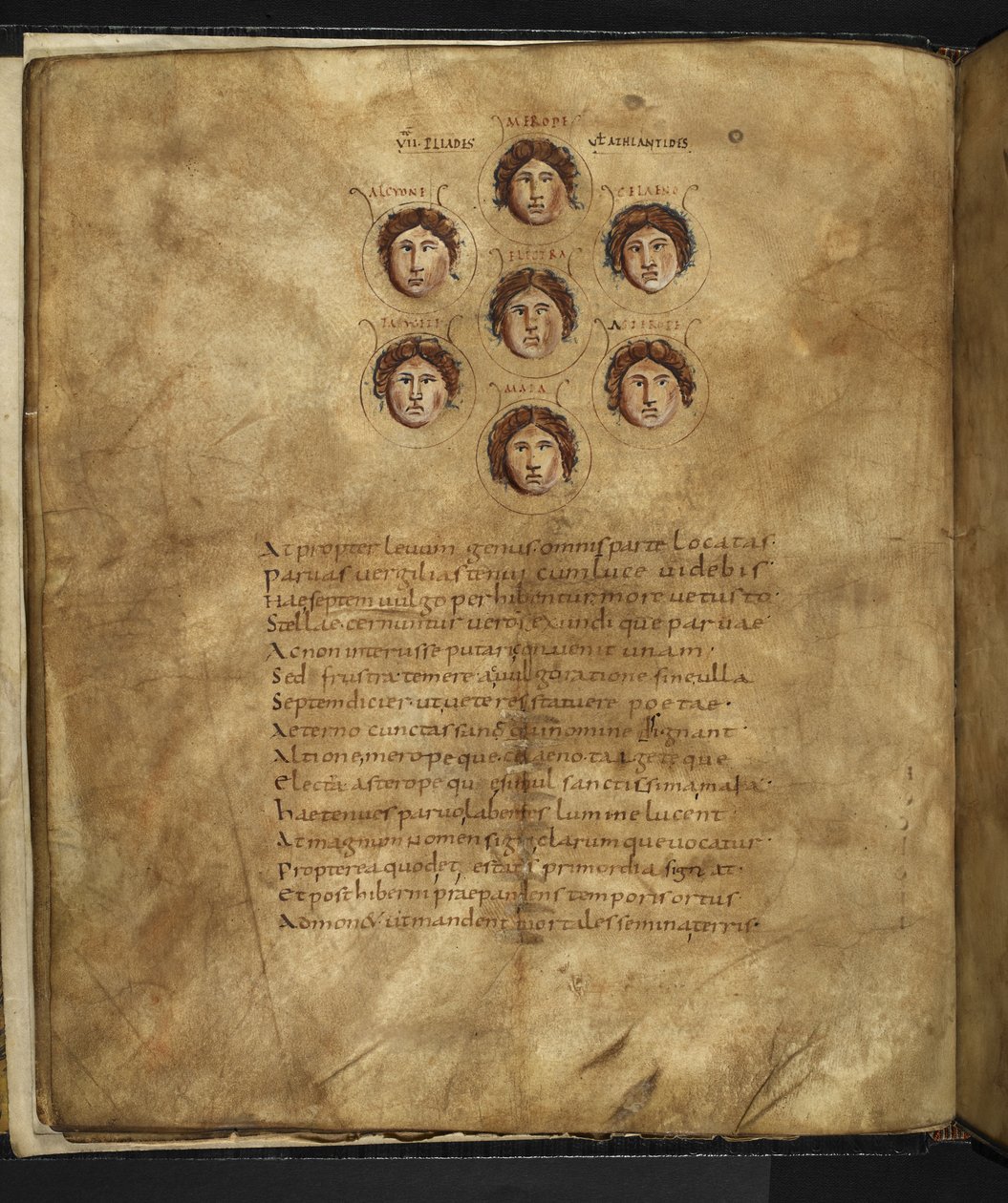 Harley 647, f.4v Marcus Tullius Cicero (vellum) 作の「Aratus」より、天に星として住んでいた 7 人の姉妹であるプレアデスの顔のイラスト。 作： フランス語学校