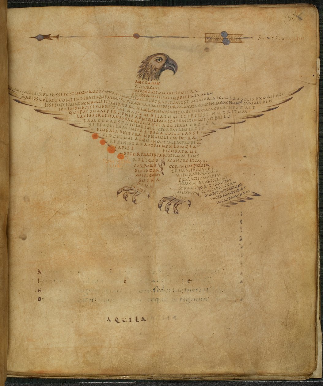 ハーレー 647、f.7 星座「わしのわし」のイラスト、「アラテア、星座図にハイギヌスのアストロノミカからの抜粋を含む」、マーカス・トゥリウス・シセロ作（紙にインクとカラー） 作： フランス語学校