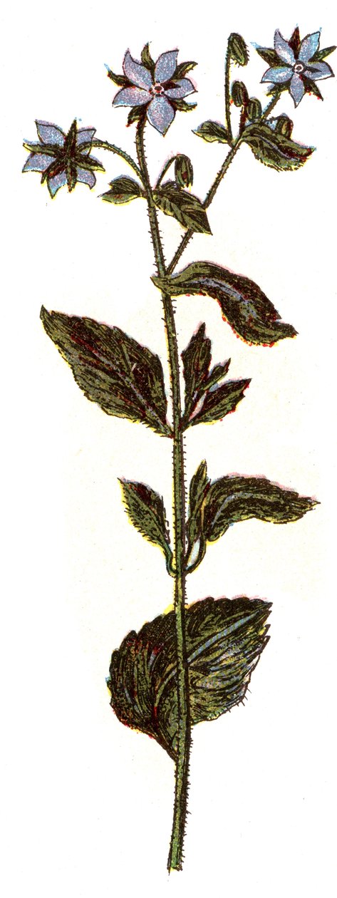 H.M.メニエ博士による「Mon docteur - traite de medecine et d