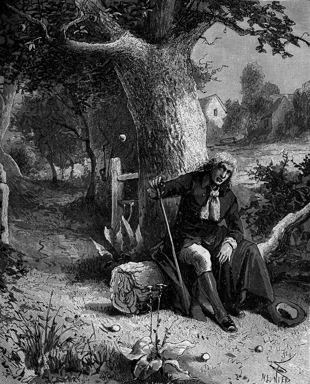 アイザック・ニュートン（1642-1727）イギリスの数学者・天文学者。ウールストホップのリンゴの木から落ちてきたリンゴをきっかけに、地球の重力という概念を発見した。 作： フランス語学校