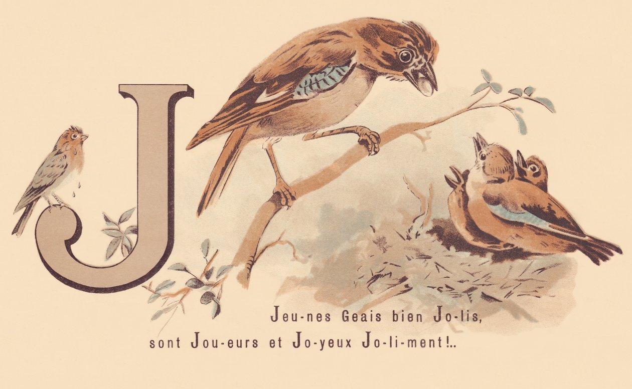 J：Young Jays Pretty are Players and Happy Jolily! 作： フランス語学校