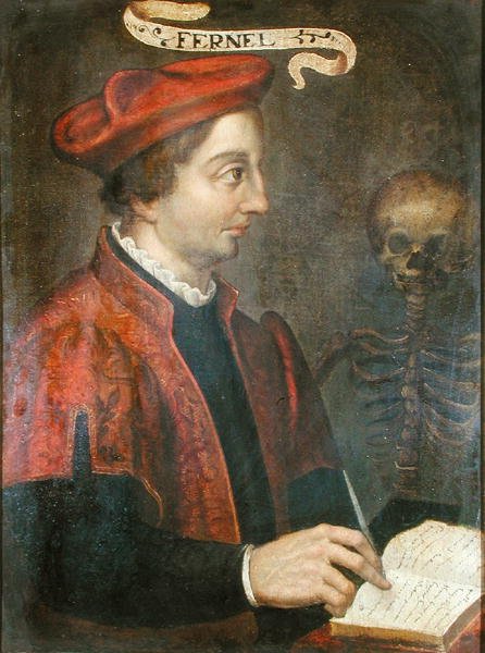 ジャン・フェルネル（c.1497-1558）（油彩・キャンバス） 作： フランス語学校