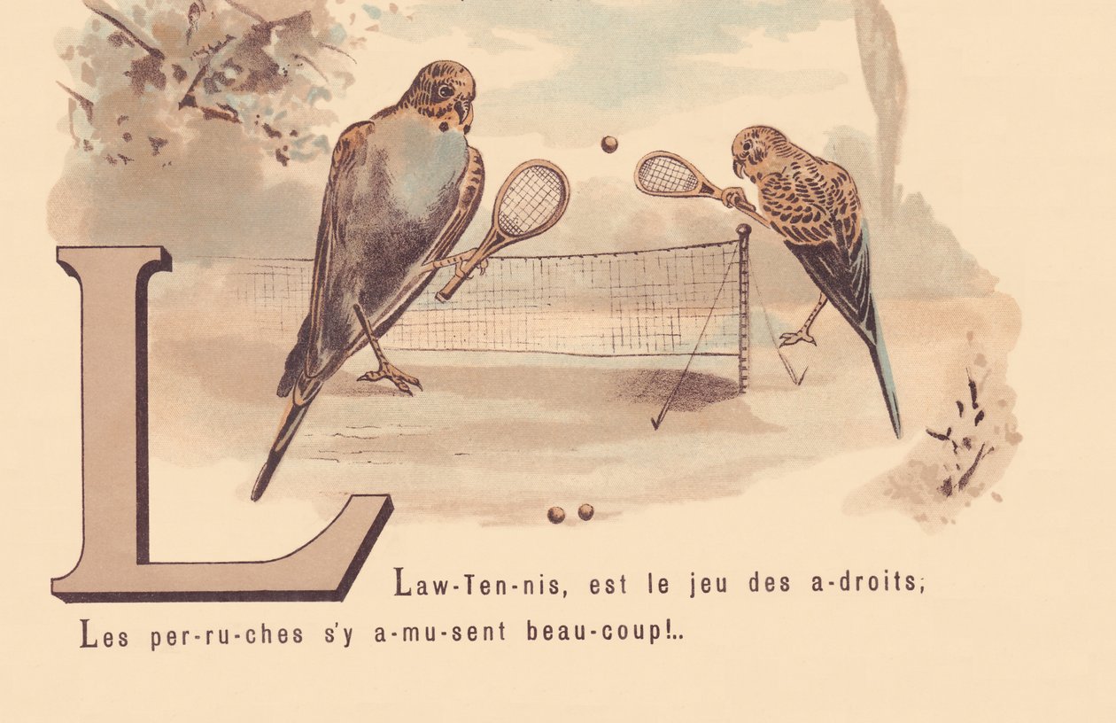 L：ローン-テニス、賢いゲームです。インコはとても楽しいです！ 作： フランス語学校