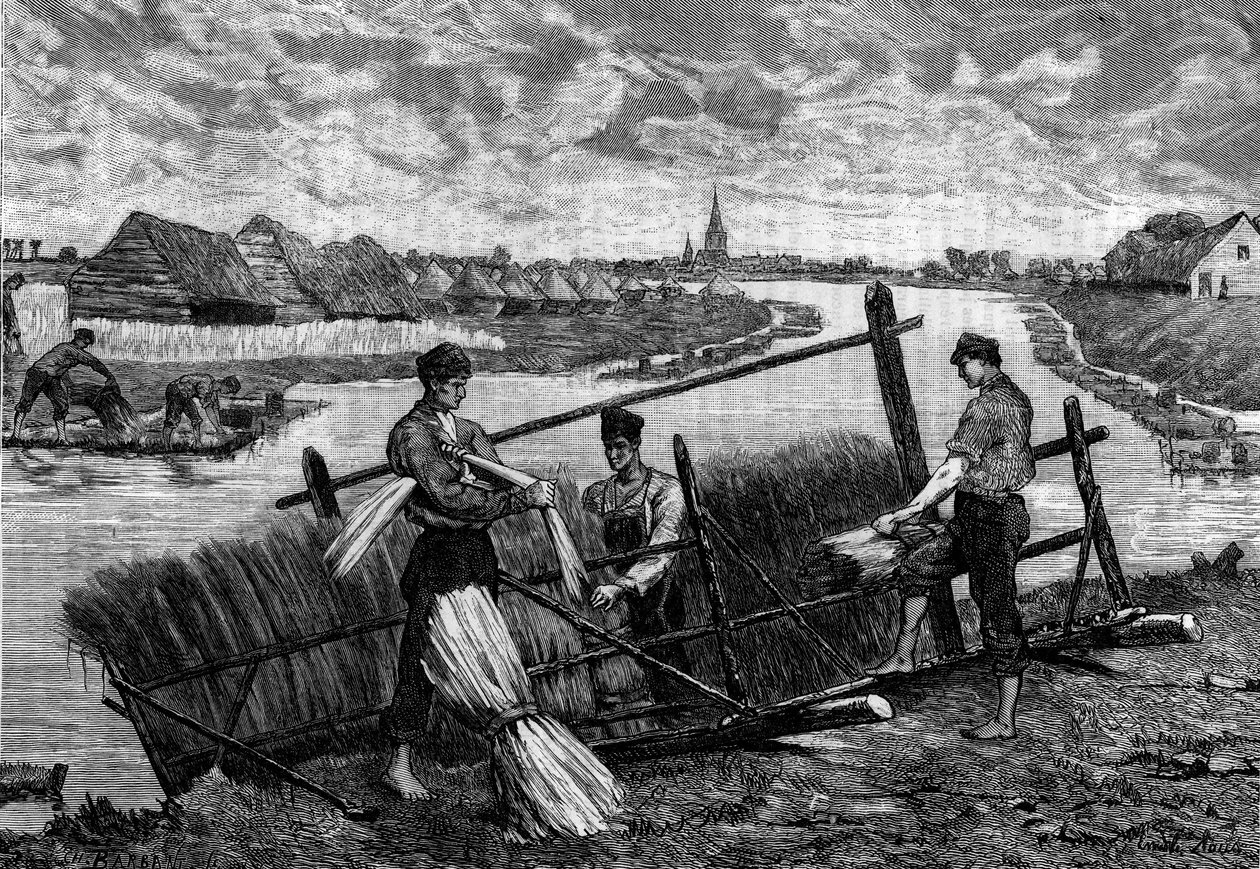 リネン：Riviere Lysのリネンラッシュ。Le Journal de la jeunesse "に掲載された版画。 作： フランス語学校