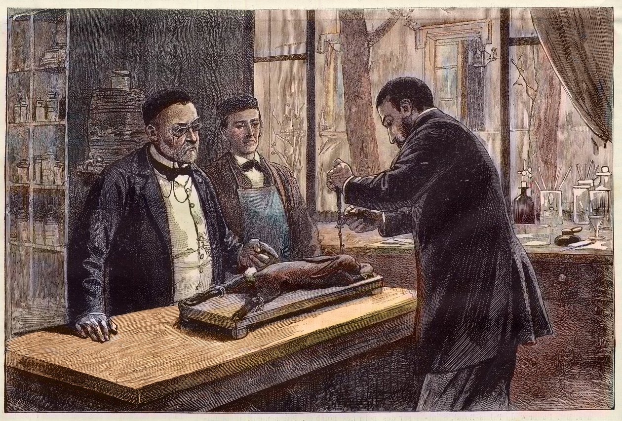 ルイ・パスツール（1822-1895）：フランスの化学者・微生物学者。狂犬病の治療法を求めて、クロロホルムをかけたウサギで実験を行った。 作： フランス語学校