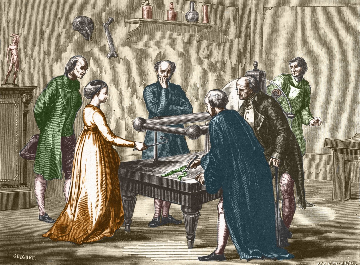 ボローニャの教授ルイジ・ガルバーニは、1780年に電気によるカエルの筋肉の刺激を発見しました（1896年の "Album of Science; illustrious scientists; Great discoveries"）。 作： フランス語学校