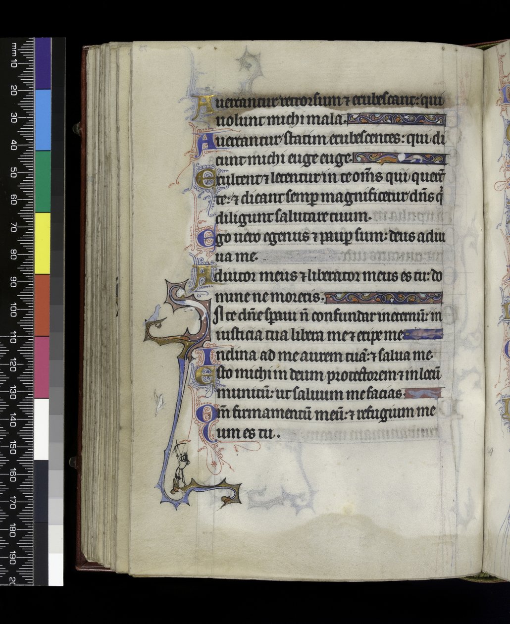 MS 300 f.73v、フランスのイザベラの詩篇と時間、パリ、c.1265-70 作： フランス語学校