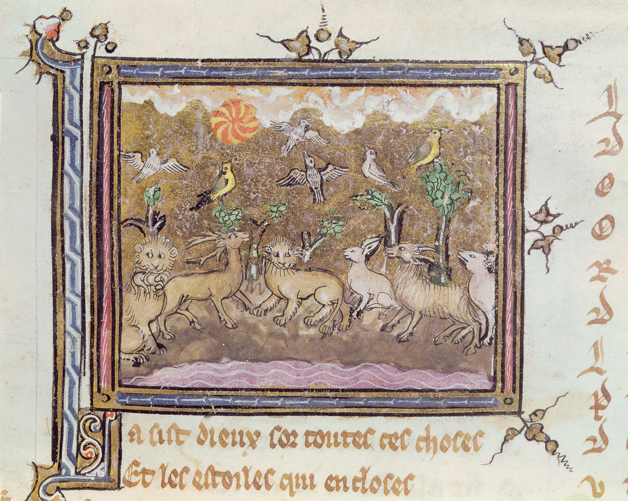Ms 1044 fol.18 Chretien Legouaisによって書かれたOvide Moraliseからの動物の創造 作： フランス語学校
