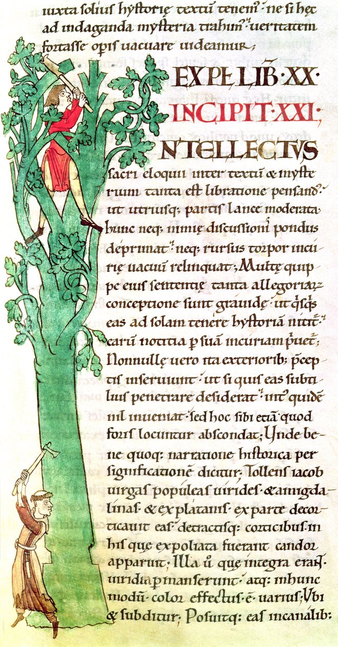 Ms 173 f.41歴史的イニシャル私は教皇グレゴリー大王によるヨラリアのヨラリアからの修道士と一本の木を切り刻んで剪定することを描いた 作： フランス語学校
