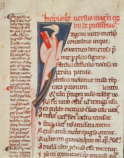 Ms 2046 fol.438 ジル・ド・コルベイユ（1165-1222）による、ヒポクラテス（紀元前460年頃～377年頃）の「アフォリズム」にクラウディウス・ガレヌス（130年頃～201年頃）が解説を加えた本を持つ鳥（ベラム製） 作： フランス語学校