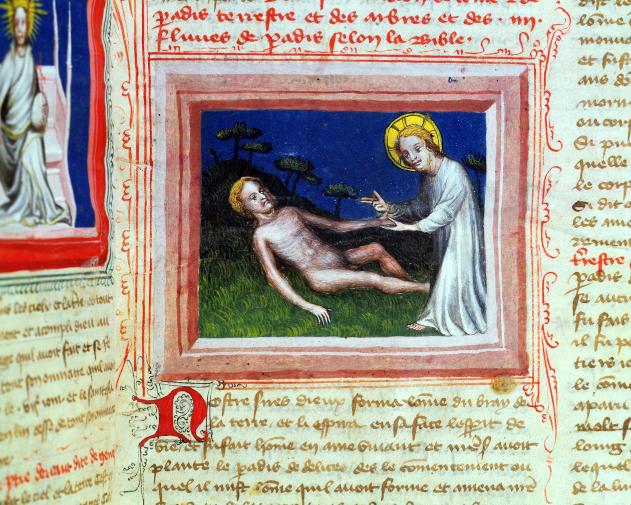 Ms 314 Adam of Adam、from a Bible des Grands Augustins、1494 作： フランス語学校