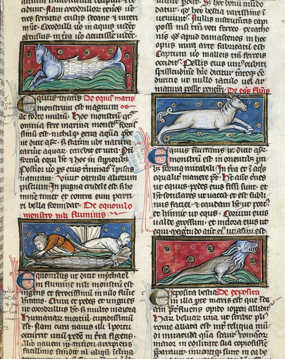 Ms 320 Fol.115r Thomas van Cantimpre (1201-72) の「De Natura rerum」から「海の魔物」（ベラム）。 作： フランス語学校
