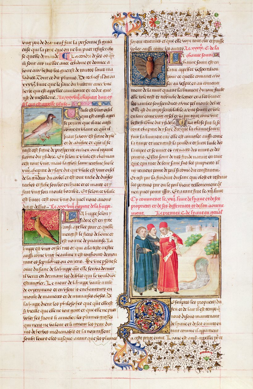 Ms 399 fol。149 Barthelemy l&39;Anglaisによる &39;Livre des Proprietes des Choses&39;のカメ、ヤツガシラとコウモリの特性 作： フランス語学校