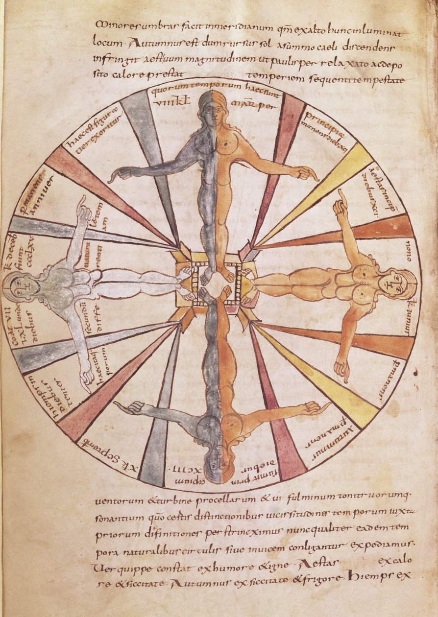 Ms 422 fol.6v季節と月のホイール、セビリアの聖イシドルによるDe Natura Rerumから 作： フランス語学校