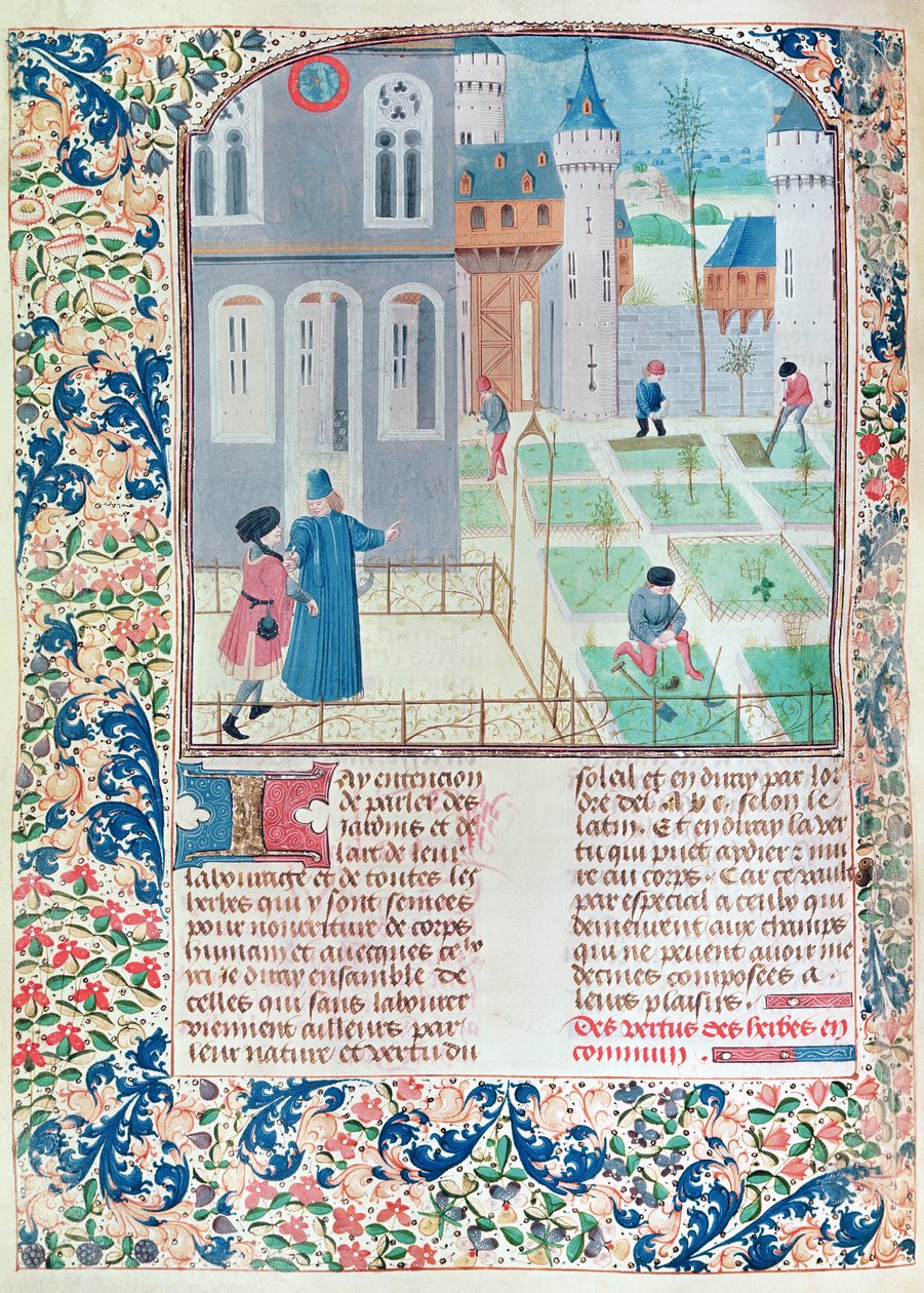 Ms 5064 f.151v The Garden、illustration from Le Livre des Prouffitz Champestres by Pietro de Crescenzi（1230-132021） 作： フランス語学校