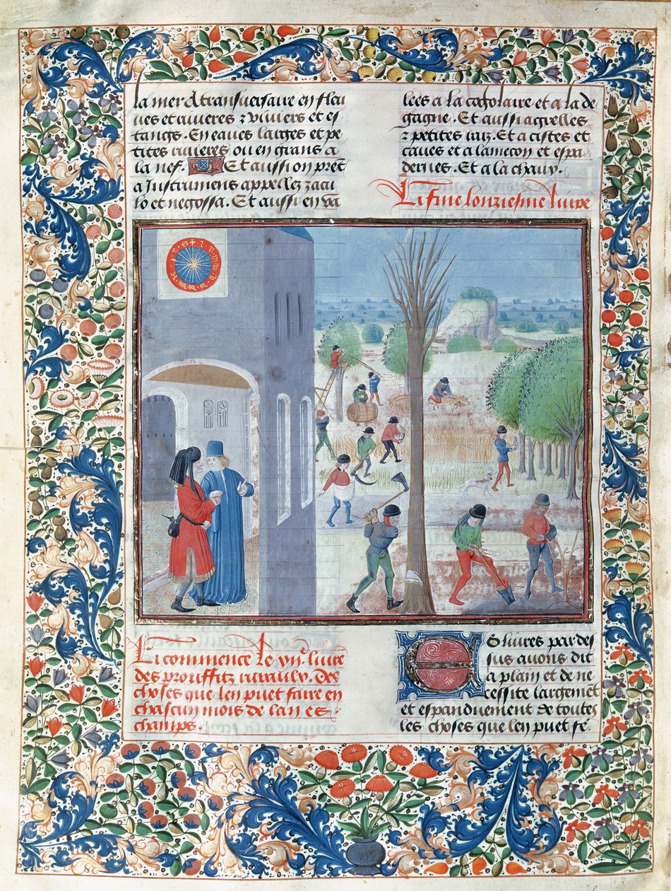 Ms 5064 f.299v 1年の各月の職業、Pietro de Crescenzi（1230-132021）によるLe Livre des Prouffitz Champestresのイラスト 作： フランス語学校