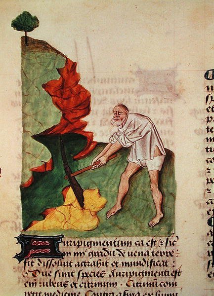 Ms 59 fol.3v Pedanius DioscoridesによるGrand Herbierから金を探している（c.40-90） 作： フランス語学校