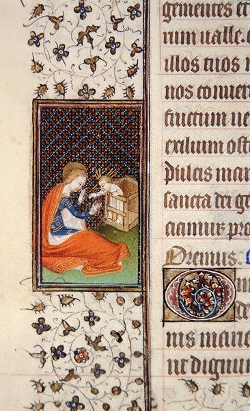ミス62、f.205v:聖母子像、フランスの時祷書の細部、1445-50年頃（ヴェラム製 作： フランス語学校