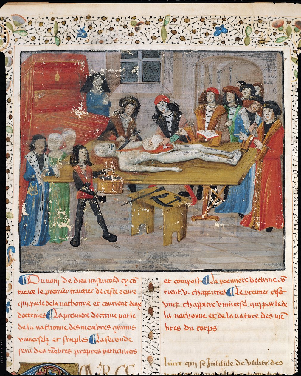 Ms H 184 fol.14vモンペリエの医学部での解剖学レッスン、ガイドショーリアック作「La Grande Chirurgie」、1363年 作： フランス語学校