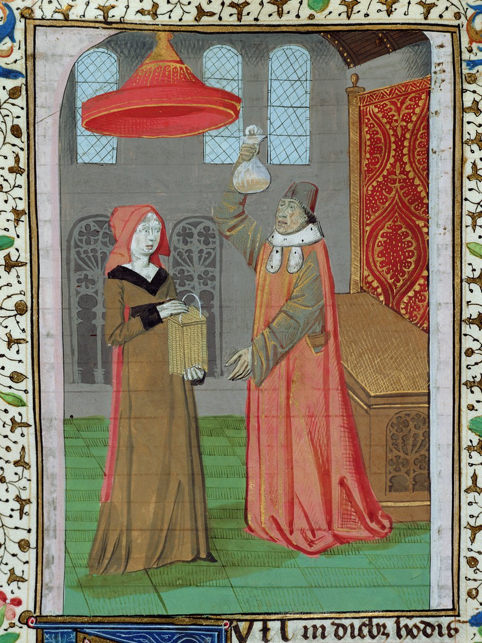 Ms H 7 fol.164rジャンXXIIの聖書から、妊娠しているかどうかを確認するために聖エリザベスの尿を検査する医師 作： フランス語学校