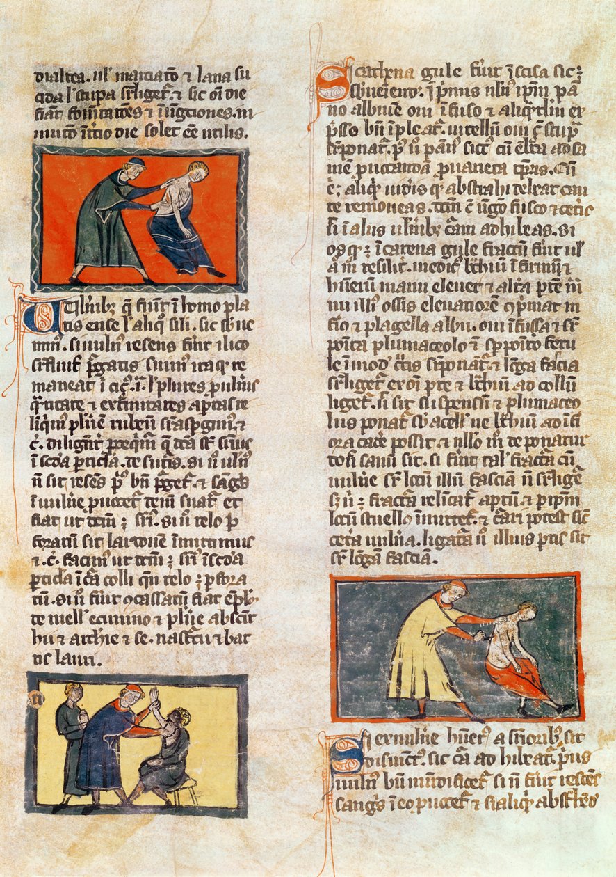 H 89さん、17歳の外科、Rogier de Salerneの「Book of Surgery」の版から 作： フランス語学校