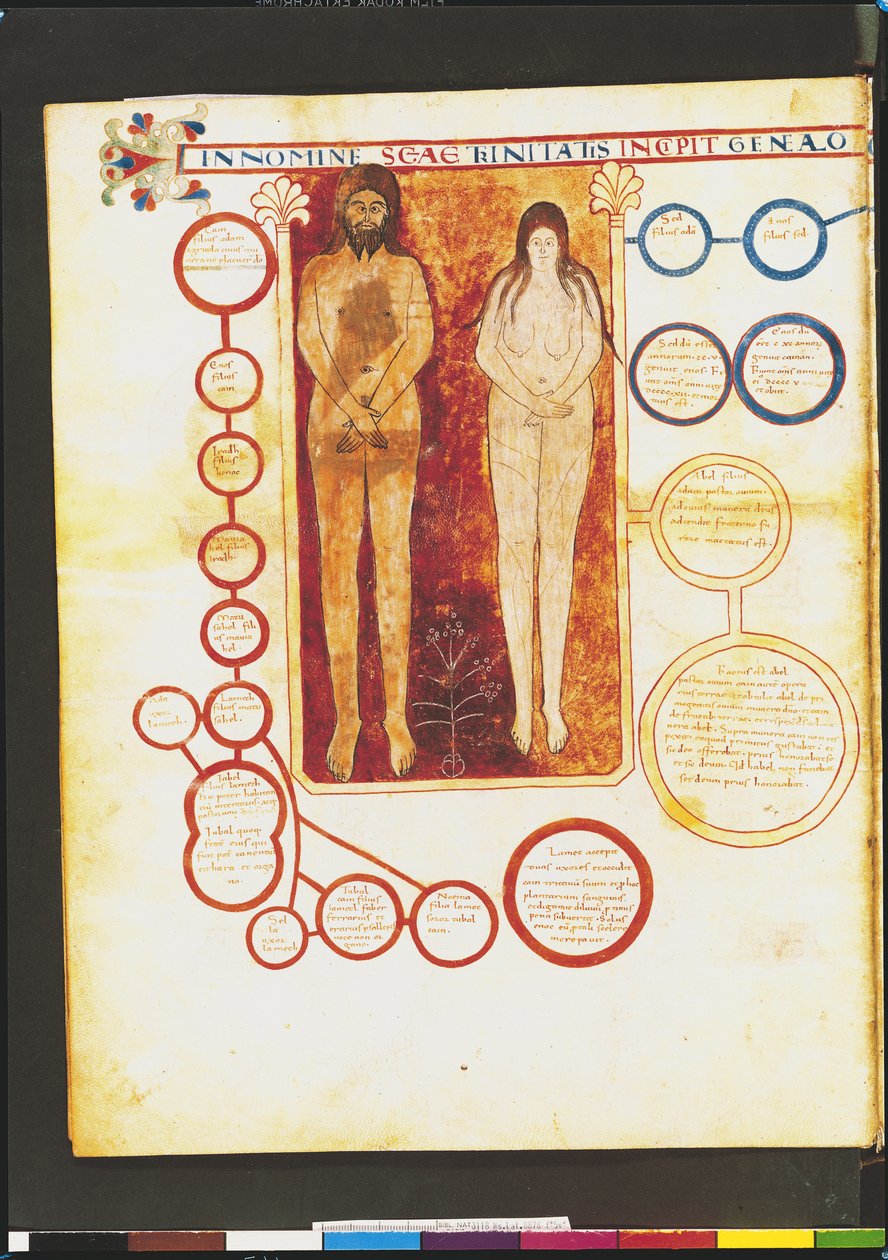 Ms Lat 8878 fol.5vアダムとイブおよびキリストの系譜、アストゥリアスの修道士、ビータスのリーバナ（c.776）c.1028-72による黙示録の解説から 作： フランス語学校