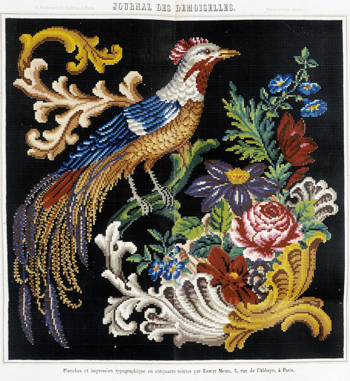 クロスステッチ刺繍のパターン（極楽鳥） - "Journal des Demoiselles" 1852年に掲載。 作： フランス語学校