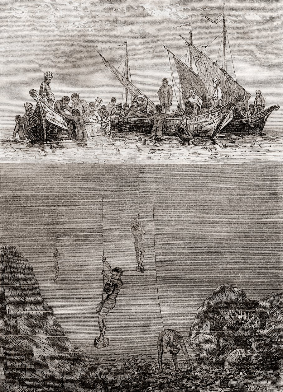 18世紀のセイロン島沖での真珠採り（1870年頃発行の「Les Merveilles de la Science」より）（エングレーヴィング 作： フランス語学校